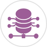 AI & Data