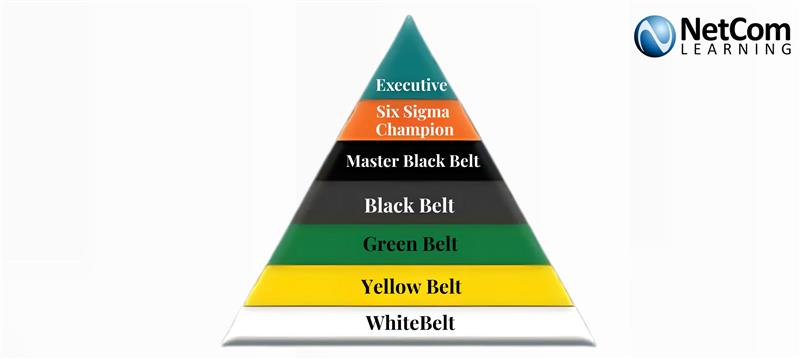Lean Six Sigma - agile blog