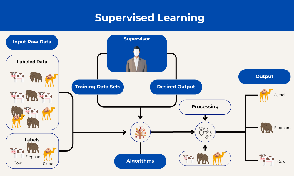 Types of Machine Learning: Supervised, Unsupervised & More