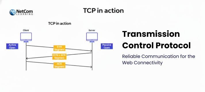 What is the Transmission Control Protocol (TCP)? How It Works in Networking